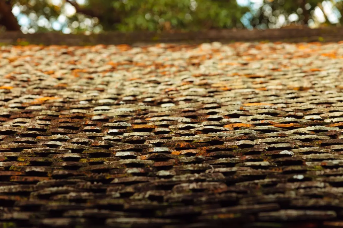 Roof Coatings & Sealing in Madison, WI